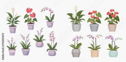 Collection of potted plants with various flowers and foliage in different colored pots.