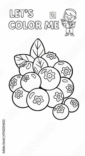 Drawing a single page about blueberries