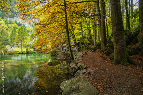 Blausee Switzerland, nature landscape at blue lake in autumn season