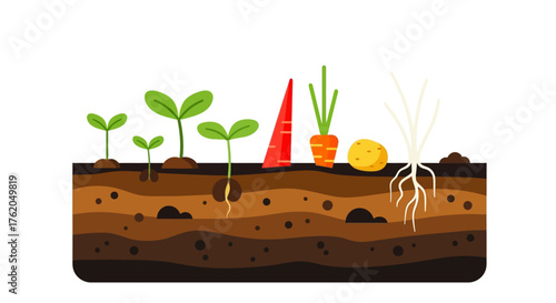 Cartoon Soil Cross-Section with Growing Plants and Vegetables Illustration