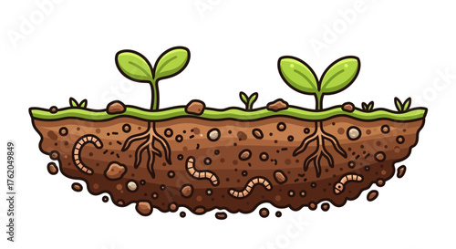 Cartoon Soil Cross-Section with Seedlings, Worms, and Roots Illustration