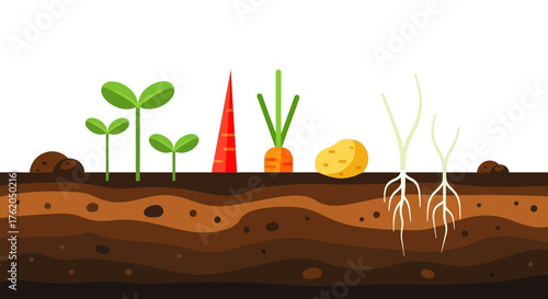 Illustration of Various Vegetables Growing in Soil, Flat Design