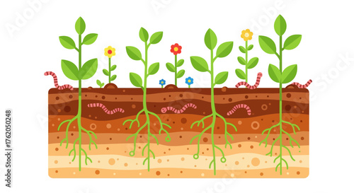 Layered Soil with Plants, Flowers, and Worms Illustration