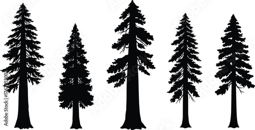 icon, nature clipart, black vector, isolated, landscape, botanical, wilderness, outdoor, stylized, graphic, seasonal, woodland, redwood, spruce, design element, tree pack