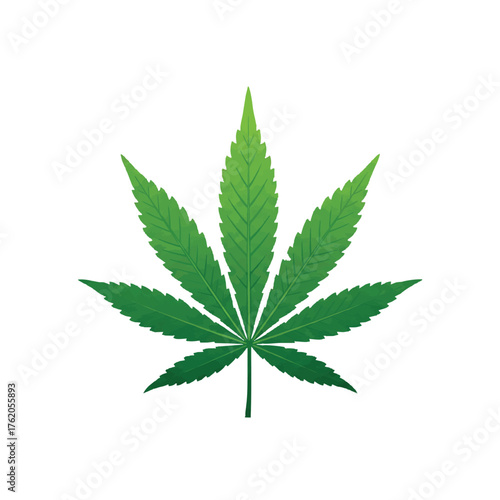 cannabis leaf vector with white background