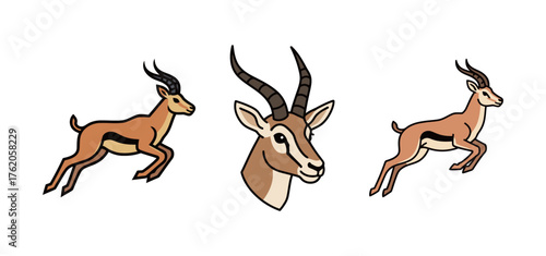 Gazelle antelope in motion and head portrait icons set, wild African animal vector illustration.
