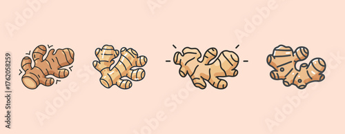 Fresh ginger root icons set in different styles, spice and healthy cooking ingredient vector illustration.