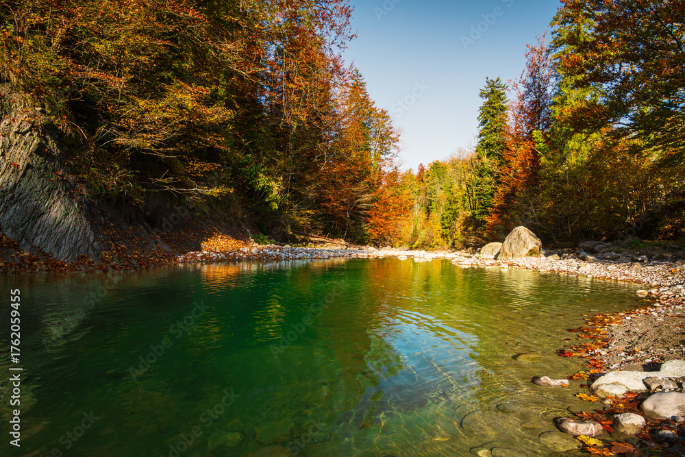 Obraz premium fall colors in the park