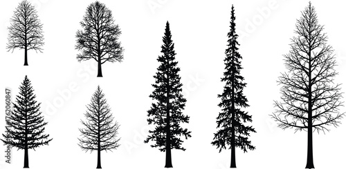 Coniferous tree silhouettes, pine forest shapes, evergreen foliage, botanical diversity, nature illustration, forestry design, isolated trees, vector art, landscape elements