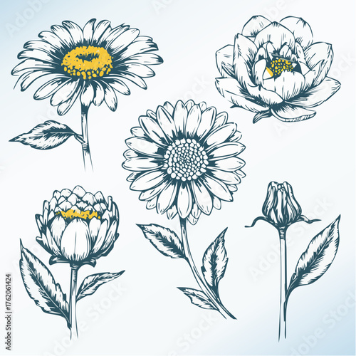 Clean, modern line art collection of nature and floral icons. Ideal for wellness, beauty, organic products, and sustainable design projects. Easily editable vector format.