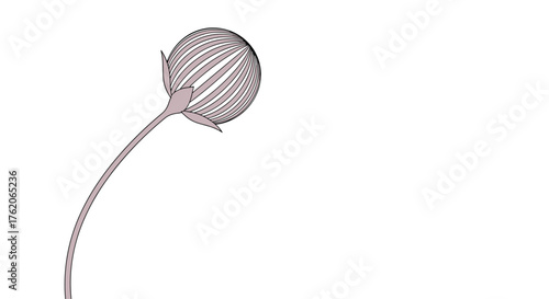 A delicate dandelion seed head floats gracefully on a light breeze outdoors.