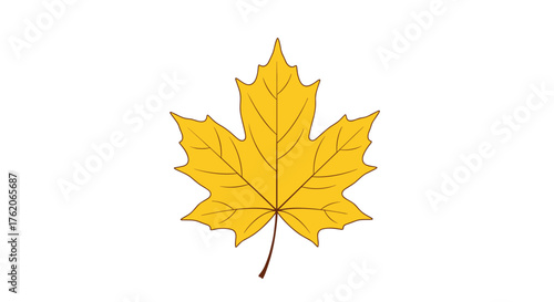 A bright yellow maple leaf symbolizing autumn's arrival and change.