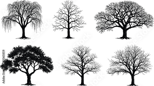 Deciduous tree silhouettes, winter branches, leafless trees, nature illustration, botanical art, forest shapes, seasonal design, landscape elements, vector pack
