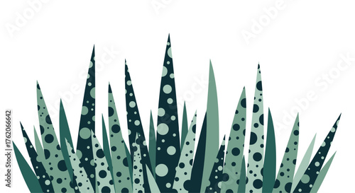 A close-up view of spiky green plants with patterned leaves.