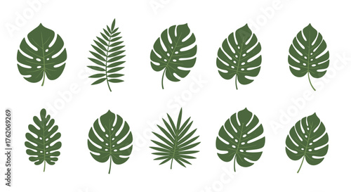 Collection of various green tropical plant leaves.