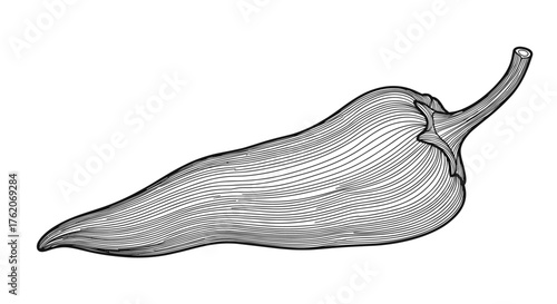 Illustration of a long pointed chili pepper with a textured surface and a curved stem.