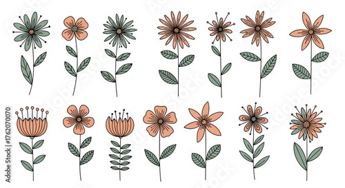 A collection of hand-drawn floral illustrations with simple botanical elements.