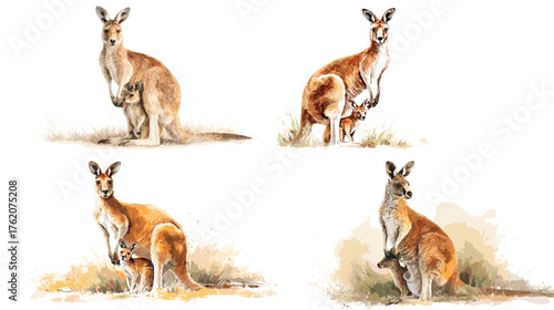 Watercolor illustration of kangaroo and joey in natural habitat detailed wildlife art capturing love, protection, and the beauty of Australian nature.