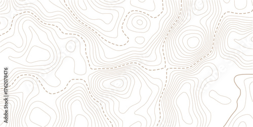 Topographic map pattern background vector. Abstract mountain terrain map background with abstract shape line texture. Design illustration for wall art, fabric, packaging, web, banner.