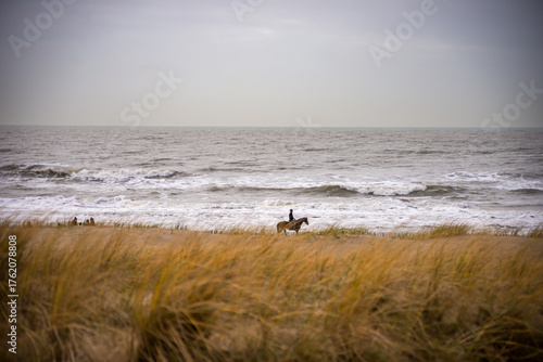 Wallpaper Mural A rider on horseback moves along the shoreline in Katwijk, Netherlands, with waves crashing against the beach, seen through tall golden dune grasses under a cloudy sky. Torontodigital.ca