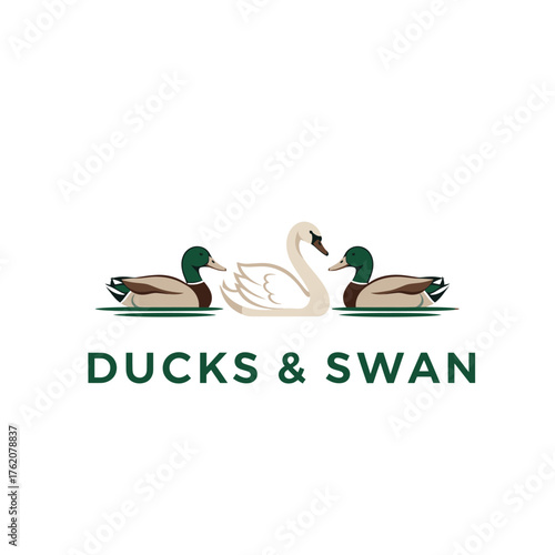 Wild Ducks and Swan Pond Waterfowl Logo