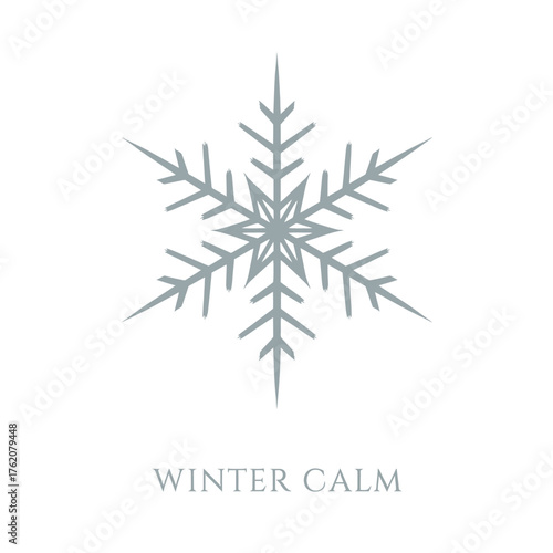 Geometric Snowflake Winter Calm Icon