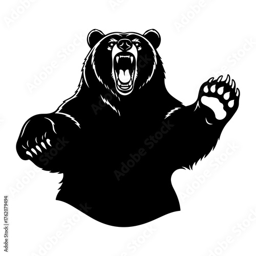 Aggressive black bear roaring with claws extended animal