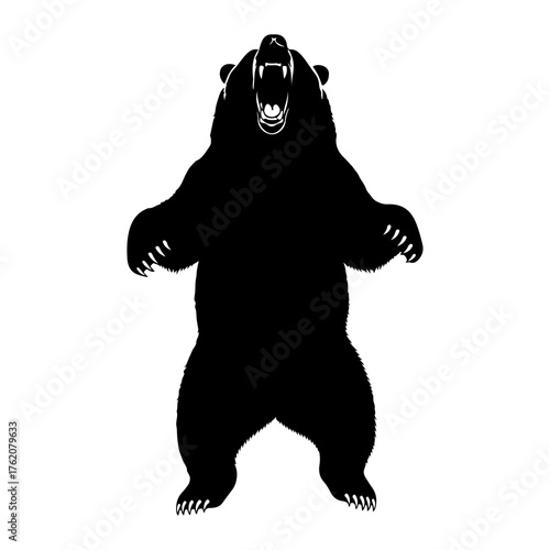 Black bear roaring standing on hind legs silhouette