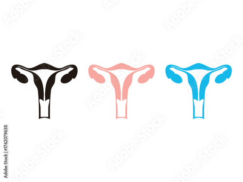 Uterus symbol, medical uterus vector illustration, isolated on transparent background