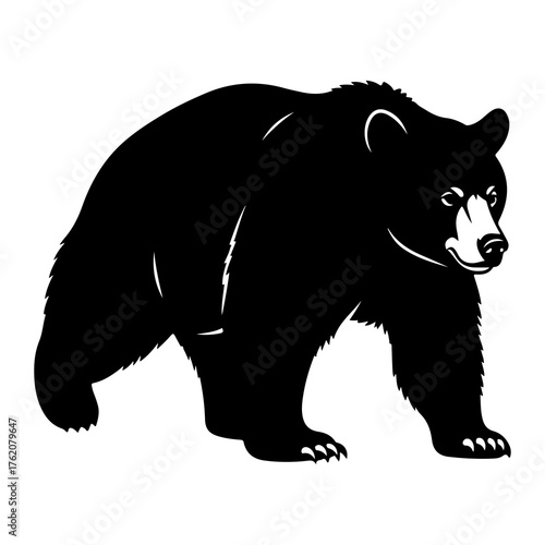 Black bear walking silhouette animal wildlife