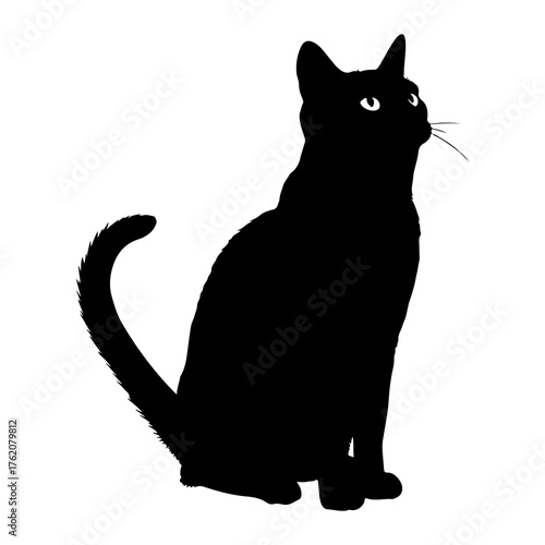 Black cat sitting looking up silhouette white background