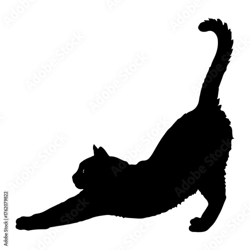 Black cat stretching on white background silhouette