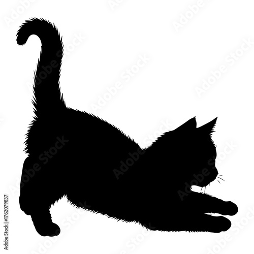 Black cat stretching on white background silhouette
