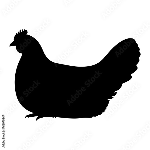 Black chicken silhouette bird poultry