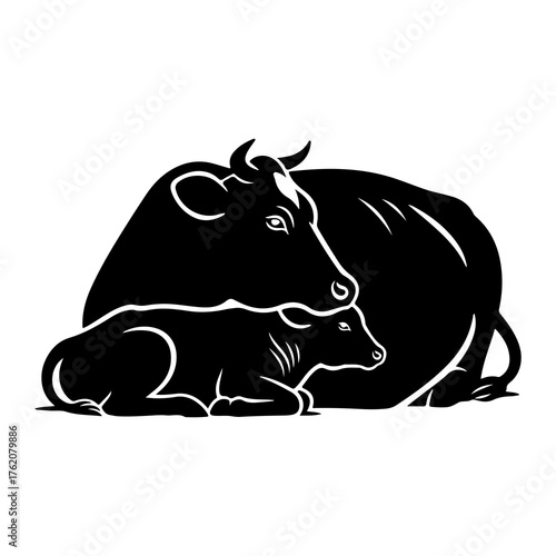 Black cow and calf resting bovine mammal