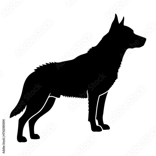Black dog silhouette standing alert white background