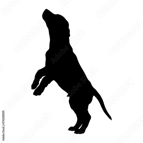 Black dog silhouette standing on hind legs white background