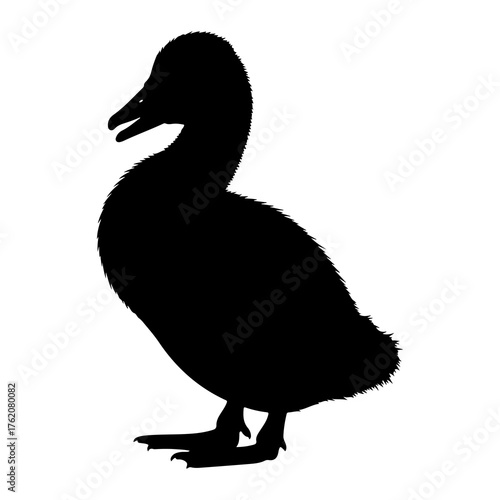 Black duckling silhouette profile white background