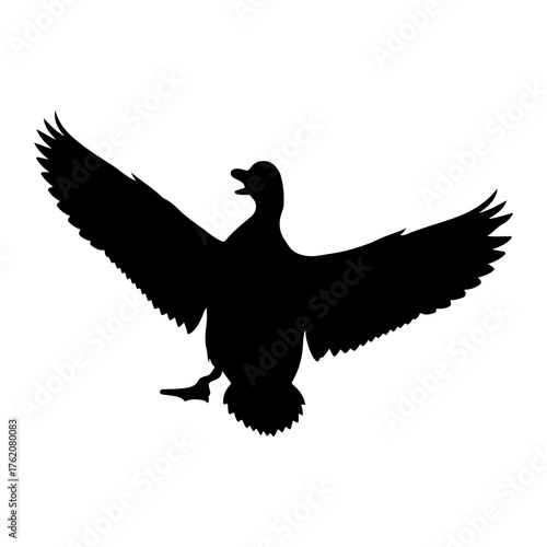 Black duck wings spread open silhouette white