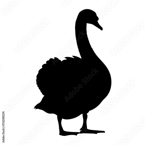 Black goose silhouette profile white bird
