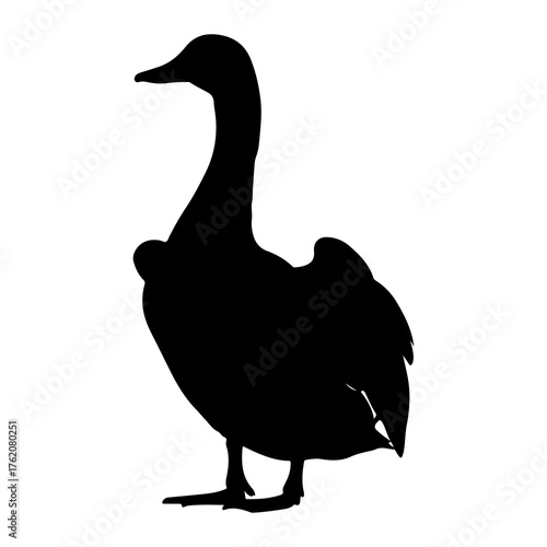 Black goose silhouette standing white bird