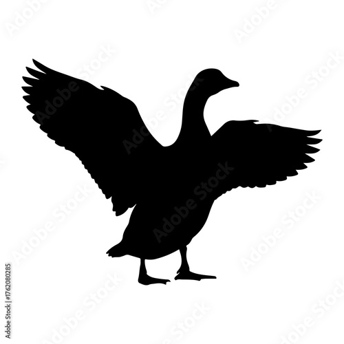 Black goose spreading wings silhouette white background