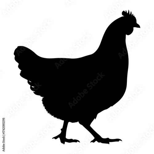 Black hen silhouette walking chicken fowl