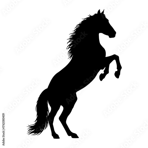 Black horse rearing up majestic silhouette