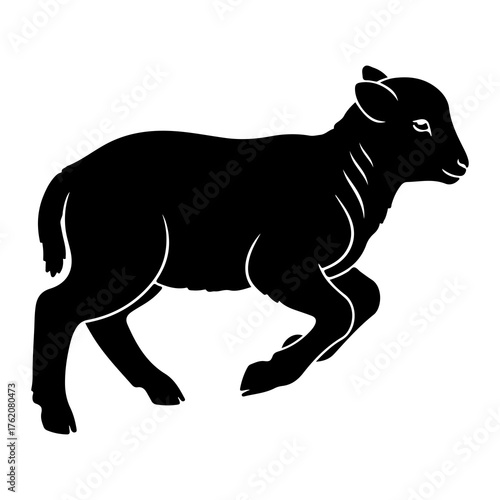 Black lamb running silhouette sheep animal
