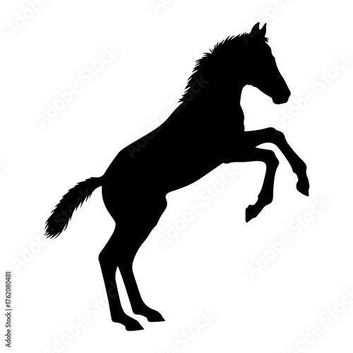 Black horse rearing up silhouette white background