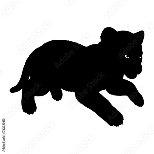 Black panther cub silhouette animal