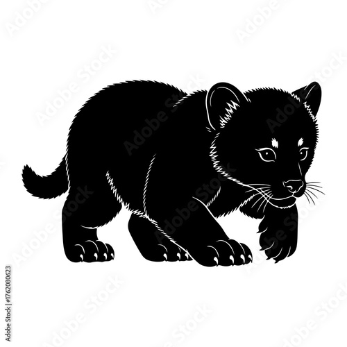 Black panther cub stalking wild animal predatory
