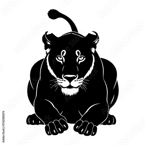 Black panther resting alertly big cat feline