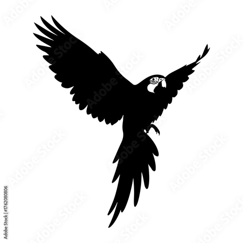 Black parrot flying with open wings macaw bird